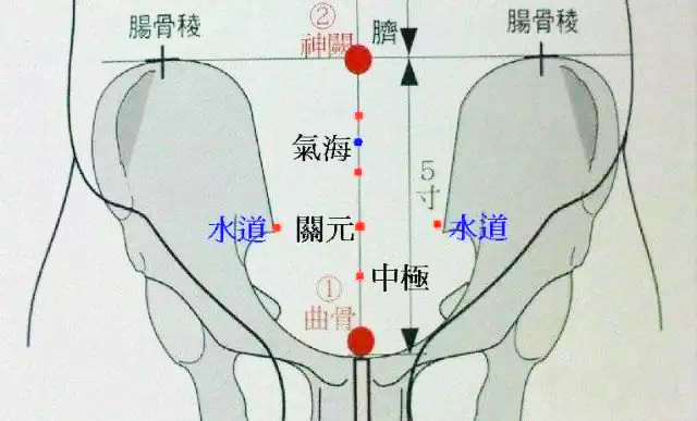 前列腺按摩手法教程（图）【5个要点远离前列腺炎】