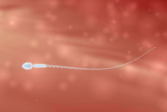 精子发黄是怎么回事？淮安哪里可以检查精子质量？